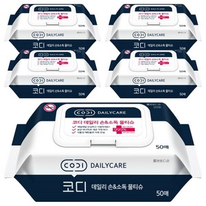 코디 데일리 손 앤 소독 물티슈 캡형, 60g, 50매, 5개