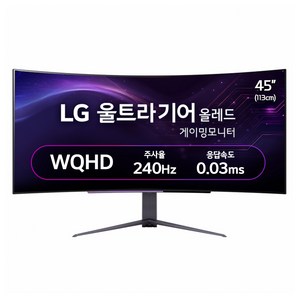 LG전자 WQHD 울트라기어 게이밍 모니터 방문설치, 113cm, 45GS96QB