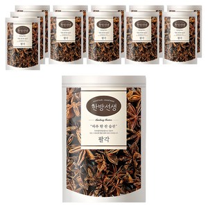 한방선생 팔각, 100g, 12개