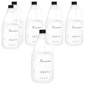 생활공작소 락스, 1.85L, 6개