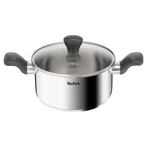 테팔 인덕션 스테인리스 스틸 이지쿡 양수냄비, 20cm, 실버, 1개 골드박스 특가