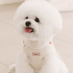 펫츠랜드 강아지 하트팝 X형 하네스, 바닐라크림, 1개