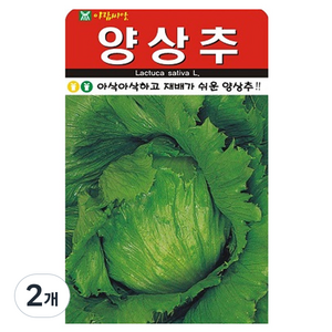 아람종묘 양상추 씨앗 1000p, 2개