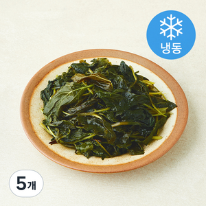 나물투데이 국내산 데친 건취나물 (냉동), 5개, 250g