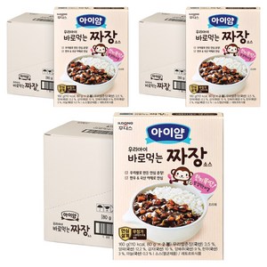 아이얌 바로 먹는 소스, 짜장, 160g, 24개