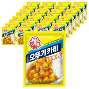 오뚜기 카레 과립형 약간매운맛, 100g, 40개