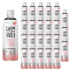 티에프티 아연 워터, 500ml, 24개