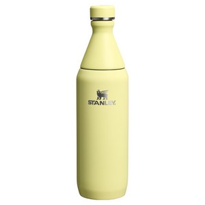 스탠리 올데이 슬림 보틀, 포멜로 글로스, 591ml, 1개