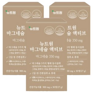 뉴트원 마그네슘 액티브, 3개, 30정