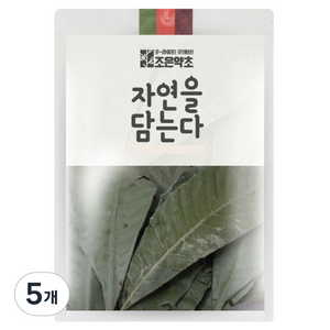 조은약초 비파잎, 150g, 1개입, 5개