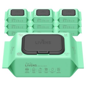 리벤스 스페셜 민트 유아물티슈 캡형, 40g, 100매, 10세트