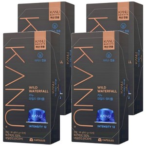 카누 바리스타 머신 전용 캡슐커피 와일드워터폴, 9.5g, 10개입, 4개