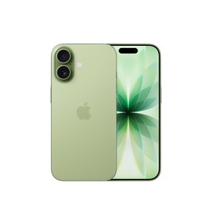 Apple 아이폰 17 자급제, 세이지, 512GB