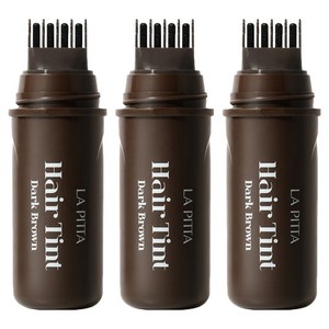 라피타 새치커버 타투 헤어틴트 10ml, 다크브라운, 3개
