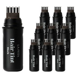 라피타 새치커버 헤어틴트 10ml, 블랙, 10개