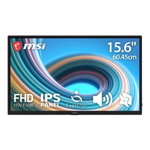 MSI FHD PRO MP165 E6 시력보호 포터블 무결점 모니터, 39.6cm, PRO MP165 E6  3PE5