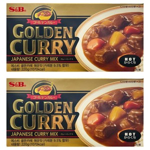 에스앤비골든 카레 매운맛, 220g, 2개