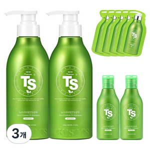 TS 뉴프리미엄 탈모증상완화 샴푸 500g x 2P + 100g x 2P + 6g x 5P 세트, 3개