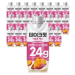 테이크핏 맥스 호박고구마맛 프로틴, 250ml, 24개