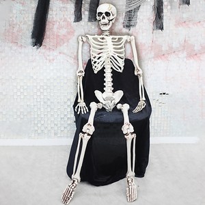 스투피드 대형 전신 리얼 해골 모형, 화이트