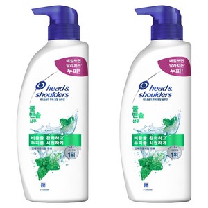 헤드앤숄더 두피 토탈 솔루션 샴푸 쿨 멘솔, 550ml, 2개