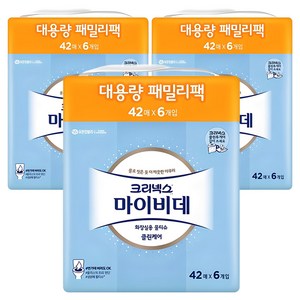 마이비데 클린케어 화장실용 비데티슈 패밀리팩 휴대형, 55g, 42매, 18개