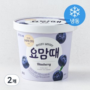 요맘때 블루베리 (냉동), 710ml, 1개입, 2개