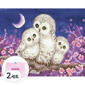 디클레어 액자 캔버스형 보석십자수 DIY 키트 40 x 50 cm, 부엉이 가족, 2세트