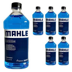 말레 에탄올 워셔액 청포도향, 2L, 6개 골드박스 특가