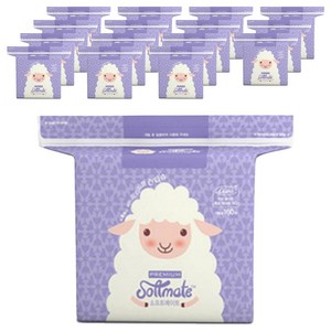 소프트메이트 프리미엄 건티슈, 60g, 160매, 16개