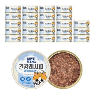 동원뉴트리플랜 고양이 건강레시피 간식캔, 면역 앤 유리너리, 90g, 24개