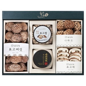 영진표고숲속애 표고 5종 모둠세트 305g, 1세트