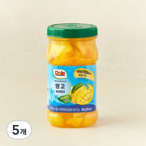 Dole 후룻바틀 망고, 666g, 1개입, 5개
