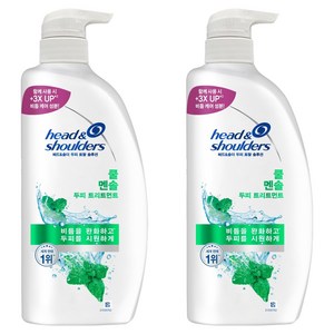 헤드앤숄더 토탈 솔루션 쿨멘솔 두피 트리트먼트, 850ml, 2개
