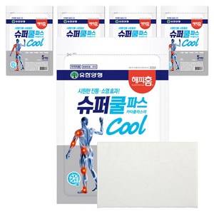 해피홈 슈퍼쿨파스, 5개