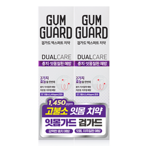 검가드 엑스퍼트 치약, 120g, 2개