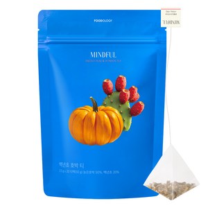 푸드올로지 마인드풀 백년초 호박 삼각티백, 2.5g, 20개입, 1개