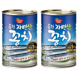 동원 꽁치 통조림, 300g, 2개
