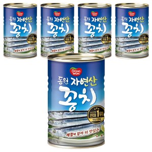 동원 꽁치 통조림, 300g, 5개