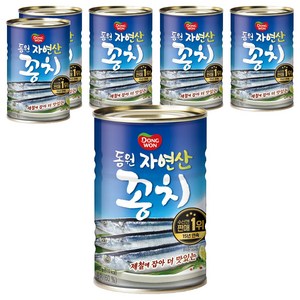 동원 꽁치 통조림, 300g, 6개