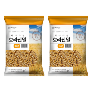 건강한밥상 호라산밀, 1kg, 2개