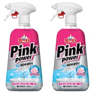 홈스타 핑크파워 욕실 찌든때 클리너, 750ml, 2개 골드박스 특가