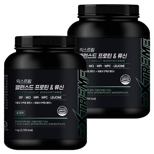 익스트림 밸런스드 프로틴 앤 류신 파우더, 1kg, 2개