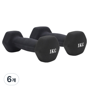 홈트러브 네오프렌 육각아령, 1kg, 6개