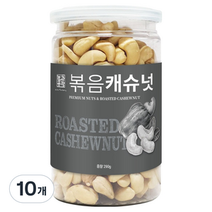 견과공장 볶음 캐슈넛 통형, 290g, 10개