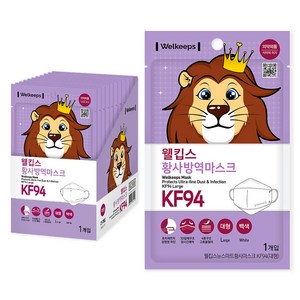웰킵스 뉴스마트황사마스크 대형 KF94, 25개입, 1개