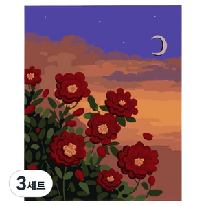 마켓링 선물 diy 명화그리기 페인팅 도구 풀세트 30 x 40 cm, 타입3, 3세트