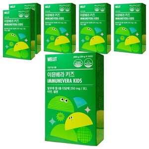 웰릿 정품 이뮨베라 키즈, 280g, 6개