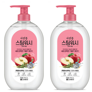 자연퐁 스팀워시 4X 주방세제 애플향, 750ml, 2개