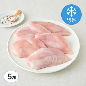 한강식품 IQF 무항생제 닭가슴살 (냉동), 1kg, 5개